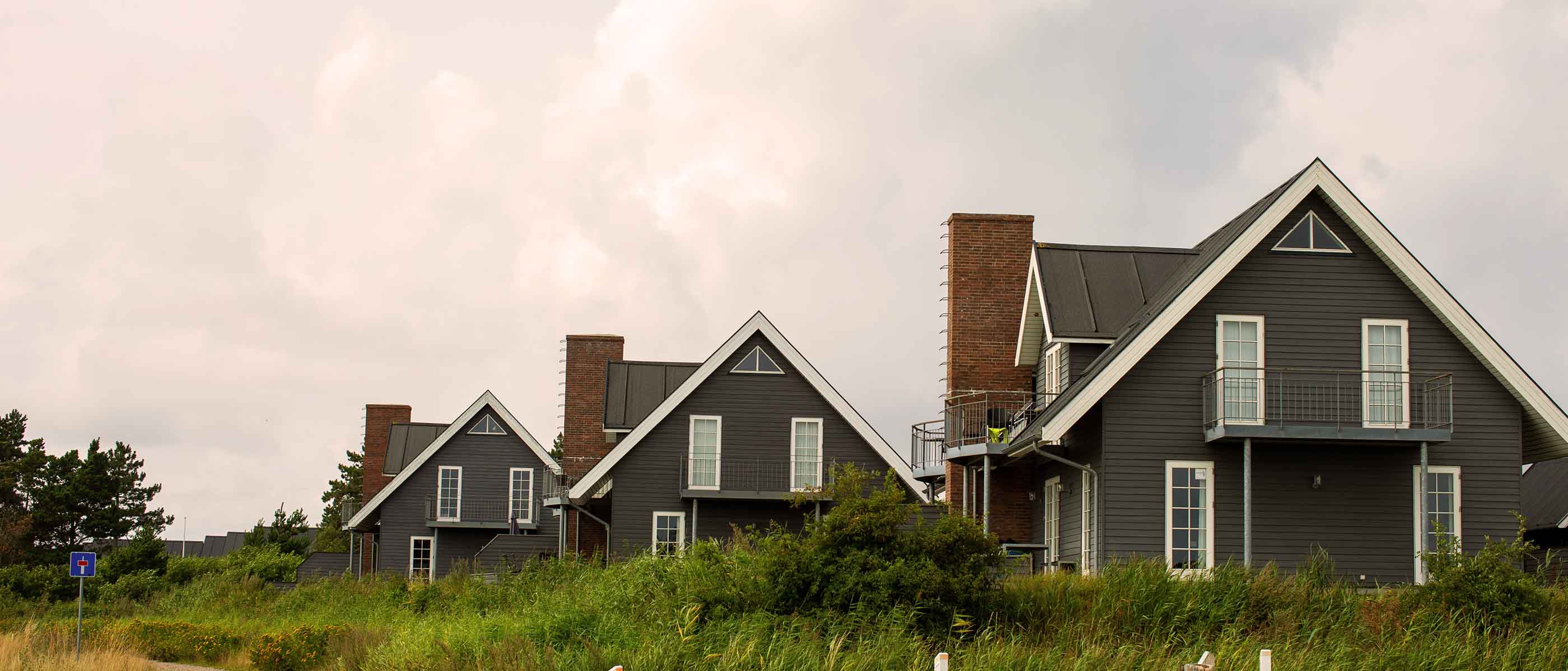 Moderne sommerhuse med mørke træfacader og saddeltag placeret i kystnært område med grønne klitter og vej i forgrunden