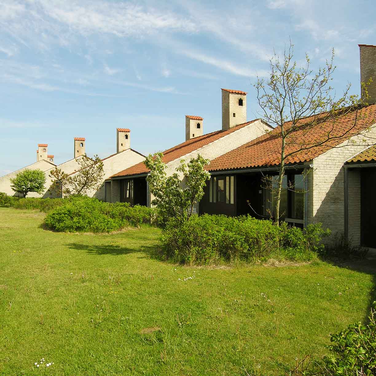 Række af sommerhuse med tegltag og markante skorstene placeret i grønt kystlandskab med græs