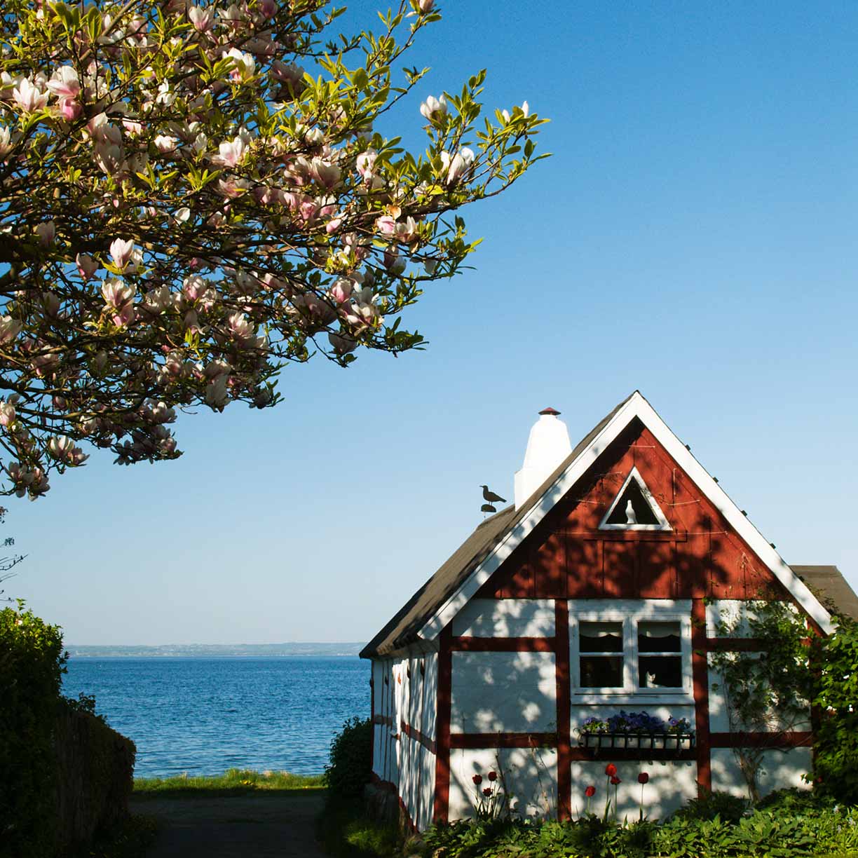Sommerhus ved vandet omgivet af blomstrende have og havudsigt på en solrig forårsdag
