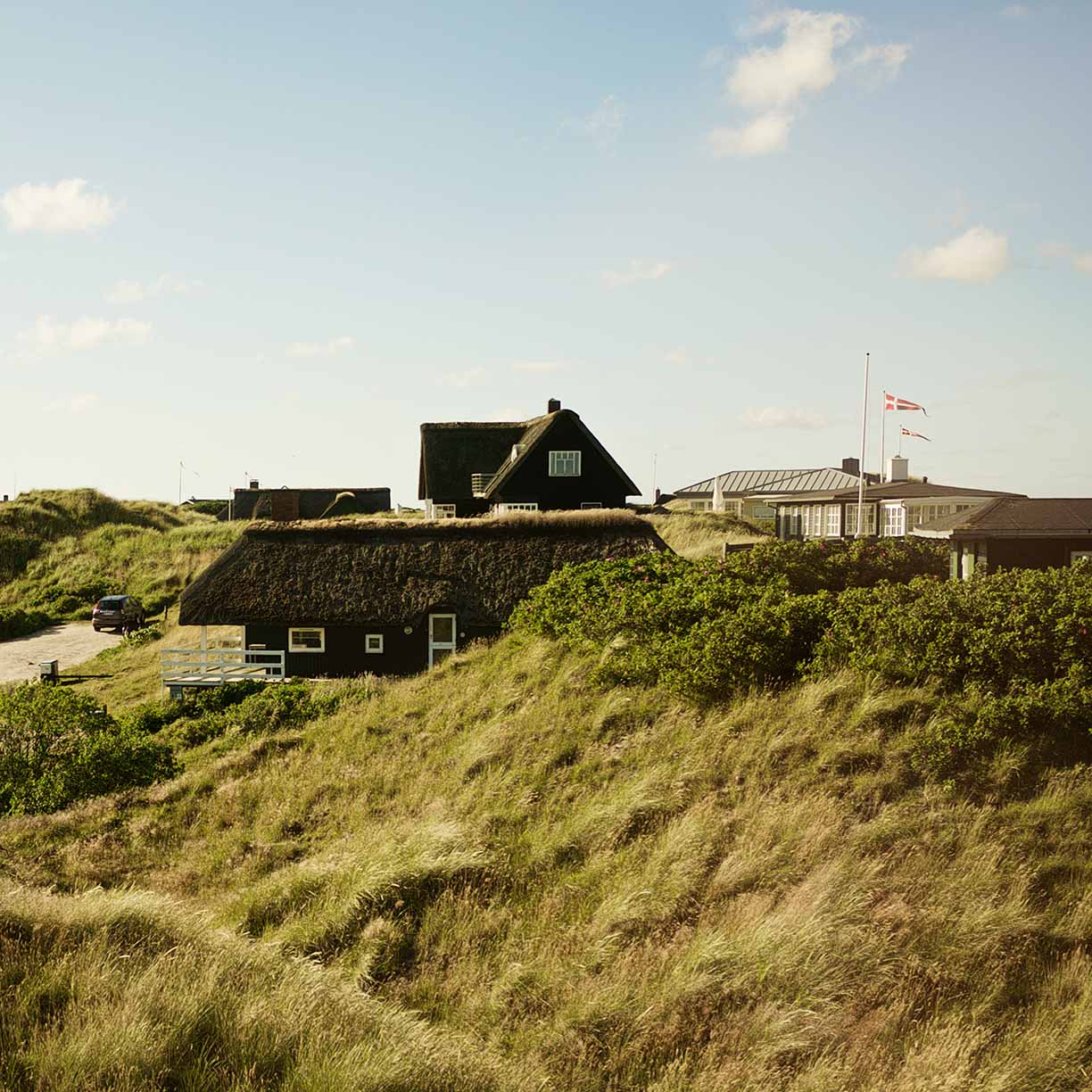 Sommerhuse i klitter ved den danske kyst omgivet af marehalm og kuperet landskab