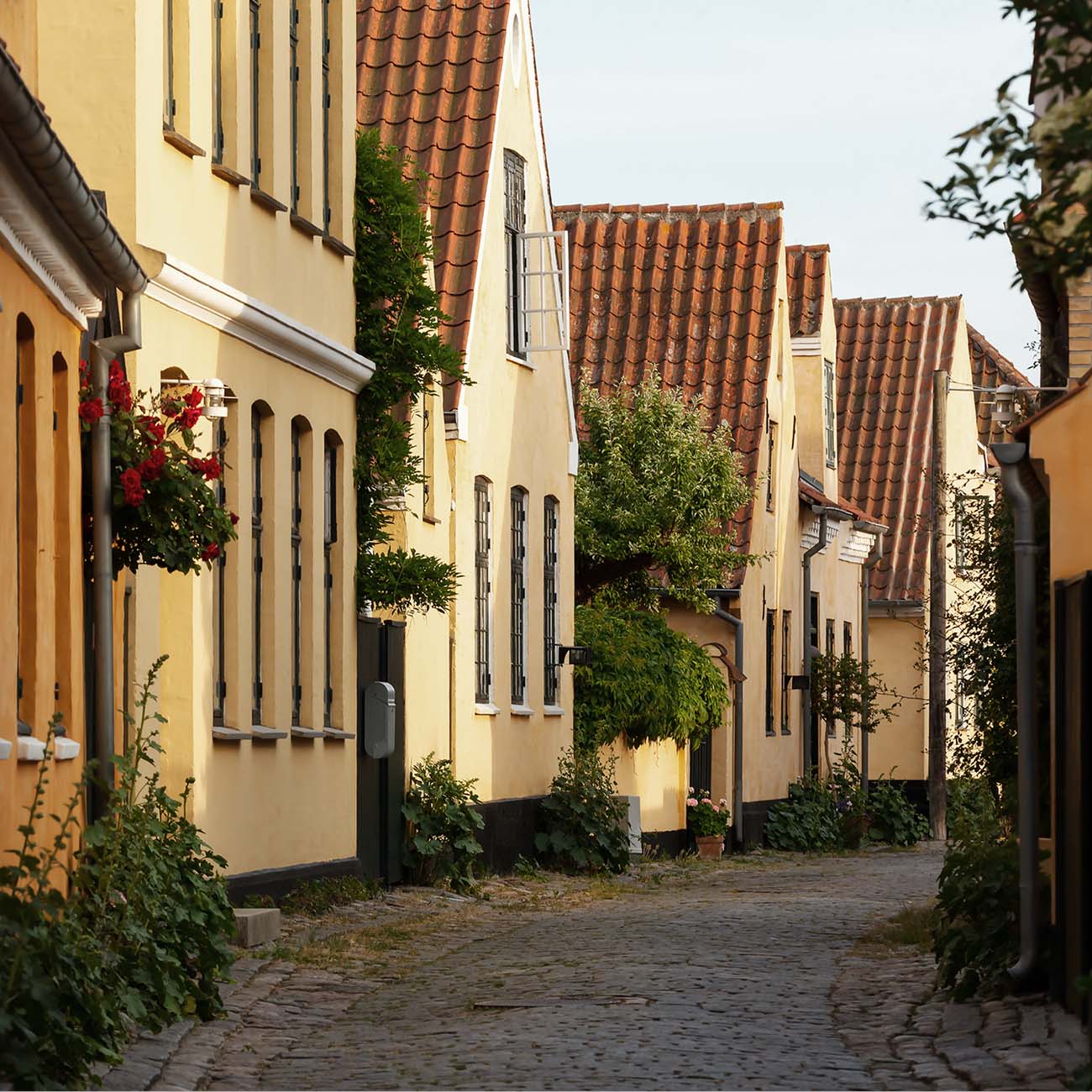 Brostensbelagt gade med gule huse og røde tegltage